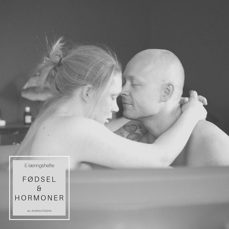 E-læringshefte: Fødsel & Hormoner